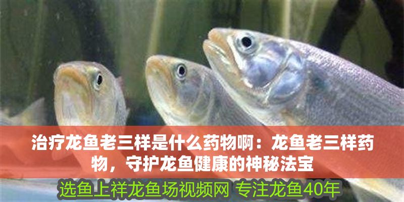 治療龍魚老三樣是什么藥物啊：龍魚老三樣藥物，守護龍魚健康的神秘法寶