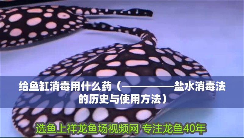 給魚缸消毒用什么藥（—————鹽水消毒法的歷史與使用方法） 給魚缸消毒用什么藥（—————鹽水消毒法的歷史與使用方法） 魚缸百科