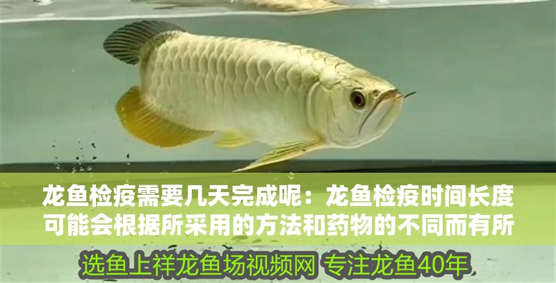 龍魚檢疫需要幾天完成呢：龍魚檢疫時間長度可能會根據(jù)所采用的方法和藥物的不同而有所變化