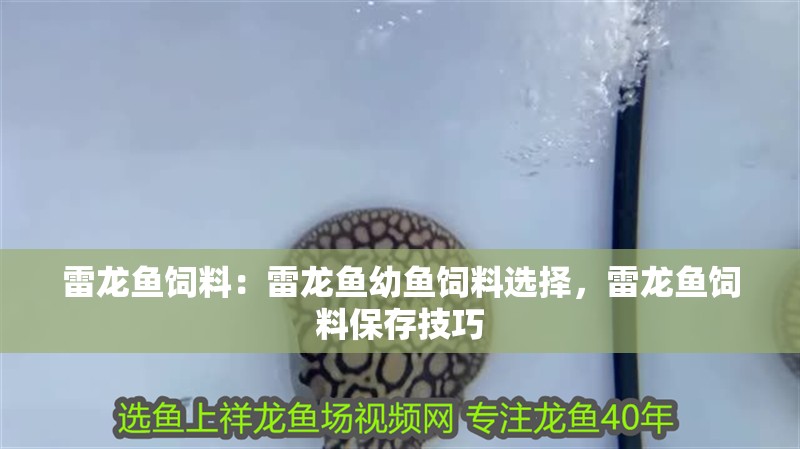 雷龍魚飼料：雷龍魚幼魚飼料選擇，雷龍魚飼料保存技巧