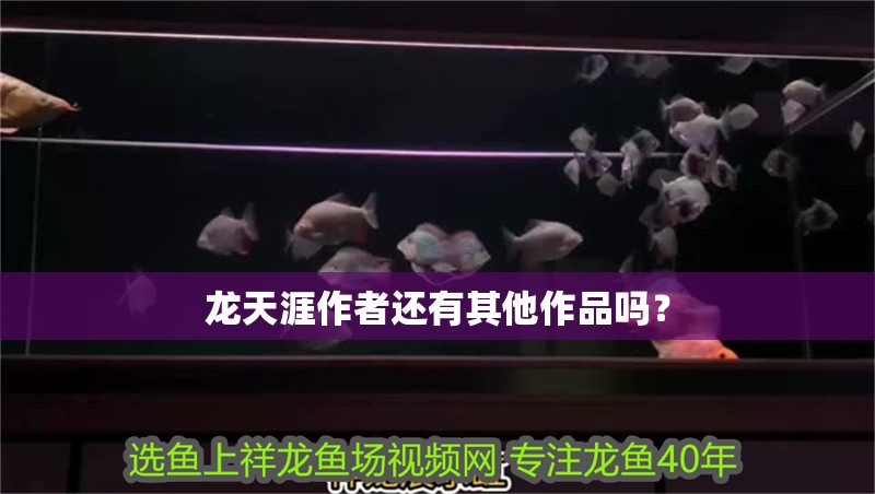 龍天涯作者還有其他作品嗎？