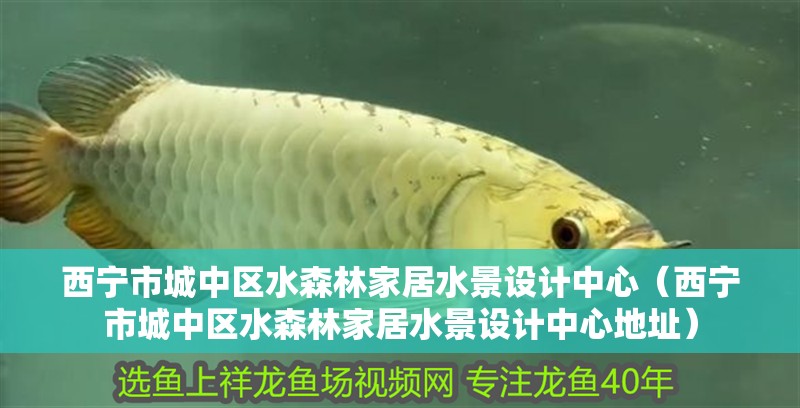 西寧市城中區水森林家居水景設計中心（西寧市城中區水森林家居水景設計中心地址）