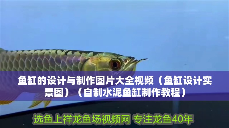 魚缸的設(shè)計與制作圖片大全視頻（魚缸設(shè)計實景圖）（自制水泥魚缸制作教程）