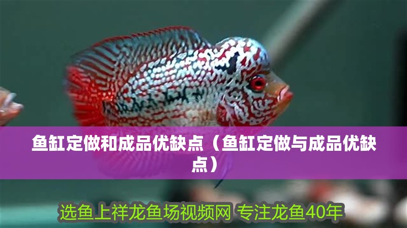 魚(yú)缸定做和成品優(yōu)缺點(diǎn)（魚(yú)缸定做與成品優(yōu)缺點(diǎn)）