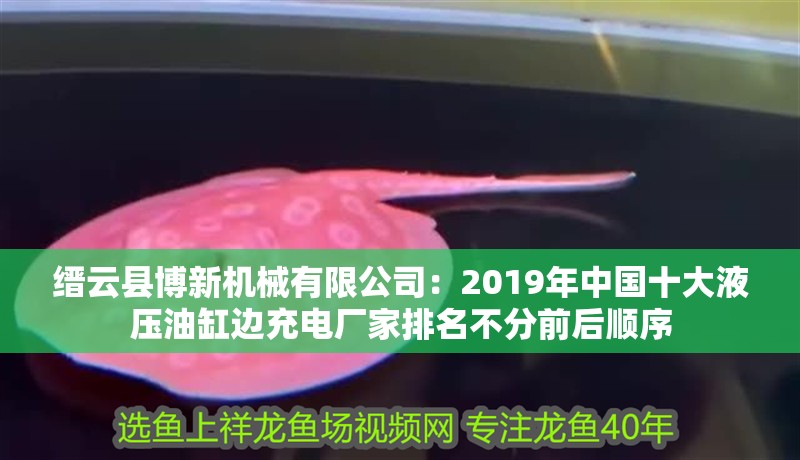 縉云縣博新機(jī)械有限公司：2019年中國(guó)十大液壓油缸邊充電廠家排名不分前后順序