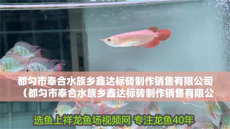 都勻市奉合水族鄉(xiāng)鑫達(dá)標(biāo)磚制作銷售有限公司 （都勻市奉合水族鄉(xiāng)鑫達(dá)標(biāo)磚制作銷售有限公司電話）