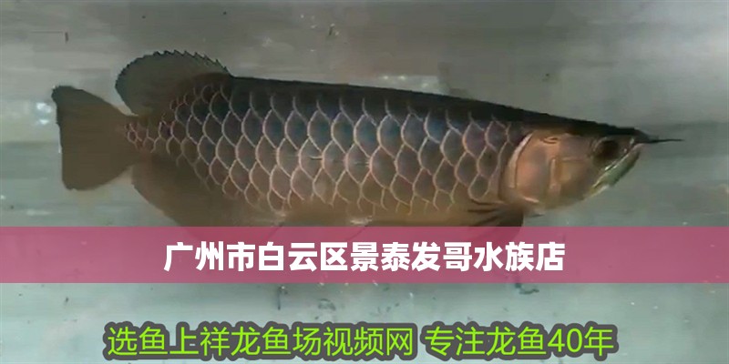 魚缸用增氧泵價格是多少:魚缸增氧機-xtrac增氧機-xtrac增氧機 廣州市白云區景泰發哥水族店 全國水族館企業名錄 廣州市白云區景泰發哥水族店 廣州市白云區景泰發哥水族店 全國水族館企業名錄