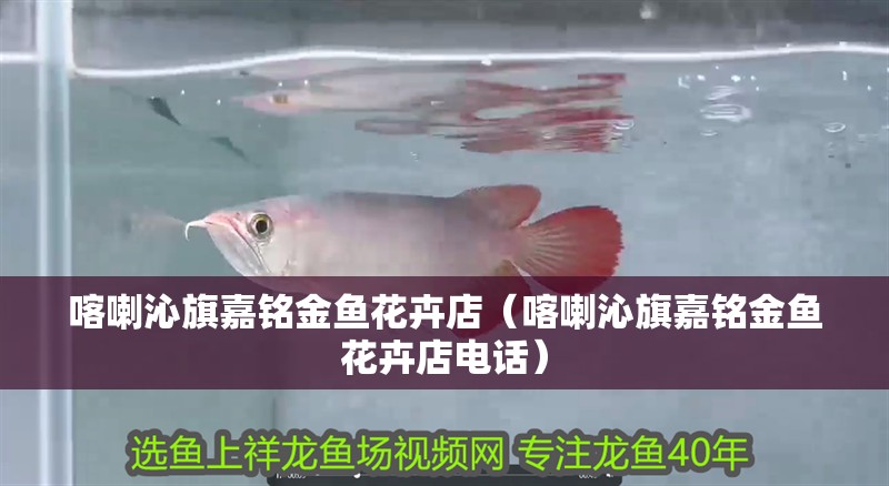 <strong><mark>喀喇沁</mark></strong>旗嘉銘金魚花卉店（<strong><mark>喀喇沁</mark></strong>旗嘉銘金魚花卉店電話）