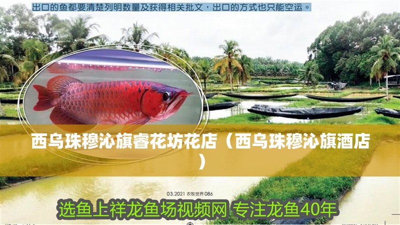 西烏珠穆沁旗睿花坊花店（西烏珠穆沁旗酒店）