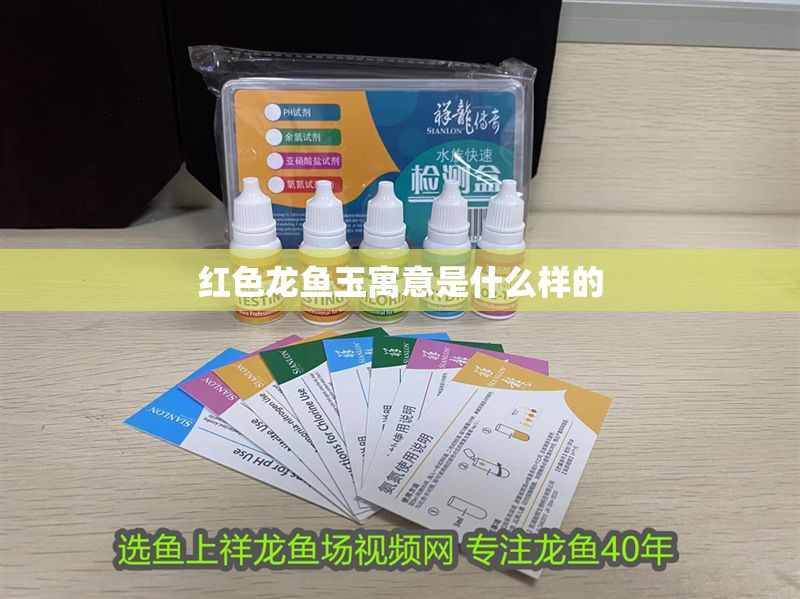 紅色龍魚玉寓意是什么樣的