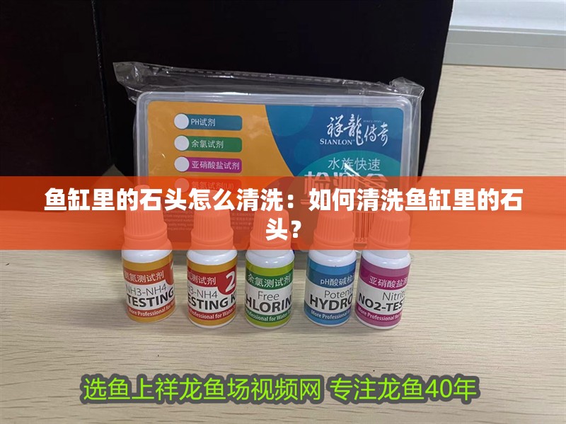 魚缸里的石頭怎么清洗：如何清洗魚缸里的石頭？