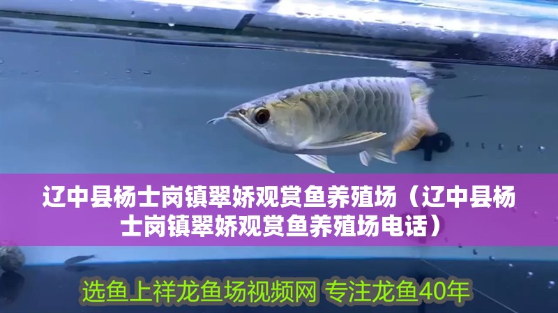 遼中縣楊士崗鎮(zhèn)翠嬌觀賞魚養(yǎng)殖場（遼中縣楊士崗鎮(zhèn)翠嬌觀賞魚養(yǎng)殖場電話）