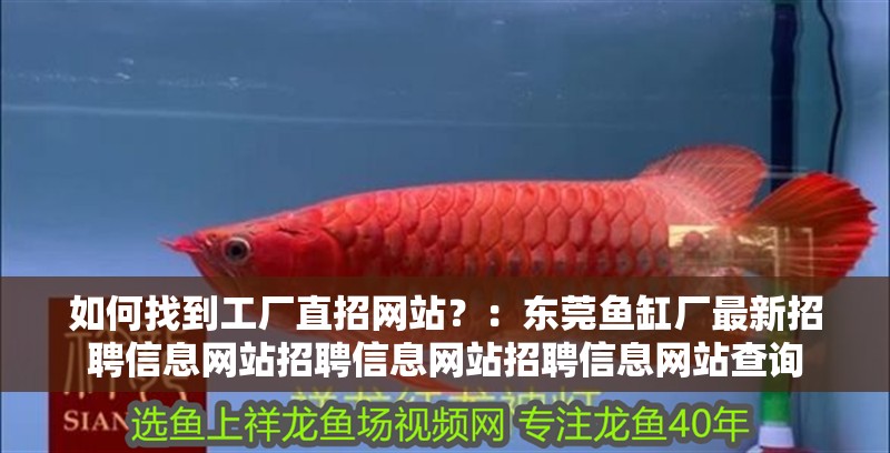 如何找到工廠直招網站？：東莞魚缸廠最新招聘信息網站招聘信息網站招聘信息網站查詢 如何找到工廠直招網站？：東莞魚缸廠最新招聘信息網站招聘信息網站招聘信息網站查詢 魚缸百科