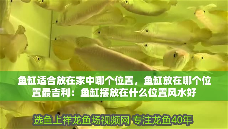 魚缸適合放在家中哪個(gè)位置，魚缸放在哪個(gè)位置最吉利：魚缸擺放在什么位置風(fēng)水好