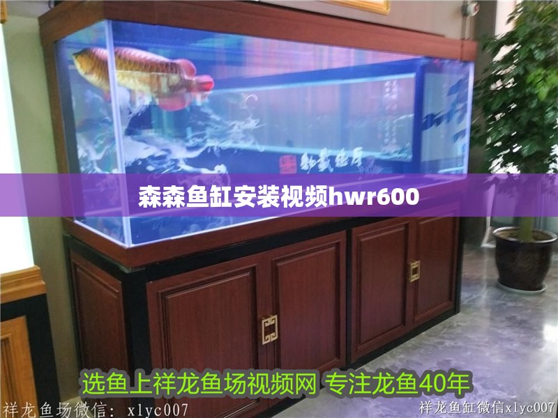 森森魚缸安裝視頻hwr600 森森魚缸安裝視頻hwr600 魚缸百科