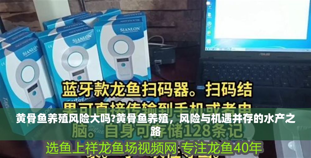 黃骨魚養殖風險大嗎?黃骨魚養殖，風險與機遇并存的水產之路