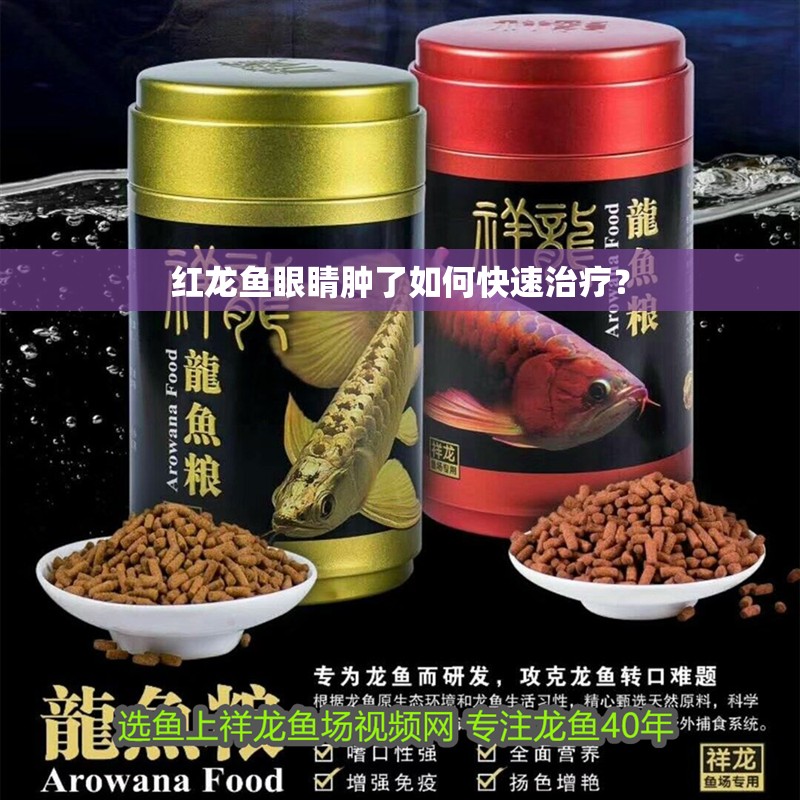 紅龍魚眼睛腫了如何快速治療？