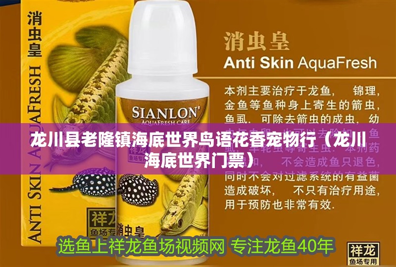 龍川縣老隆鎮(zhèn)海底世界鳥語花香寵物行（龍川海底世界門票） 龍川縣老隆鎮(zhèn)海底世界鳥語花香寵物行（龍川海底世界門票） 全國水族館企業(yè)名錄