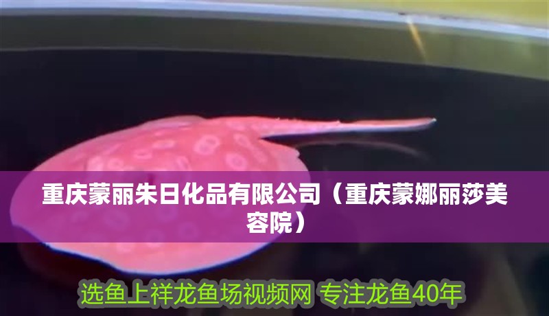 重慶蒙麗朱日化品有限公司（重慶蒙娜麗莎美容院） 重慶蒙麗朱日化品有限公司（重慶蒙娜麗莎美容院） 全國(guó)水族館企業(yè)名錄