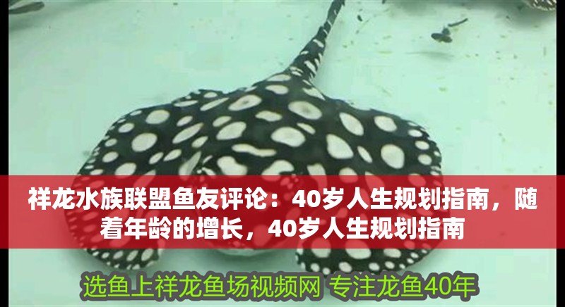 祥龍水族聯盟魚友評論：40歲人生規劃指南，隨著年齡的增長，40歲人生規劃指南