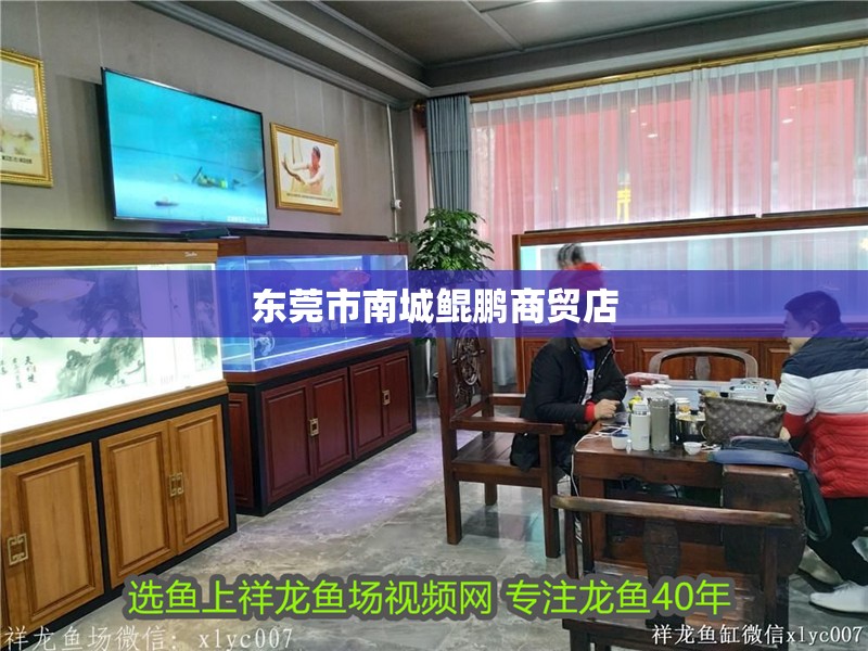 東莞市<strong><mark>南城</mark></strong>鯤鵬商貿店