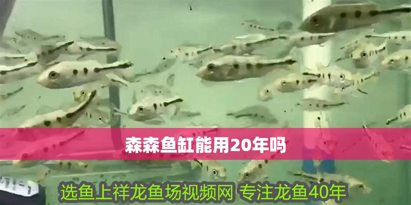 森森魚缸能用20年嗎 森森魚缸能用20年嗎 龍魚論壇