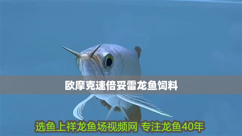 歐摩克速倍妥雷龍魚飼料