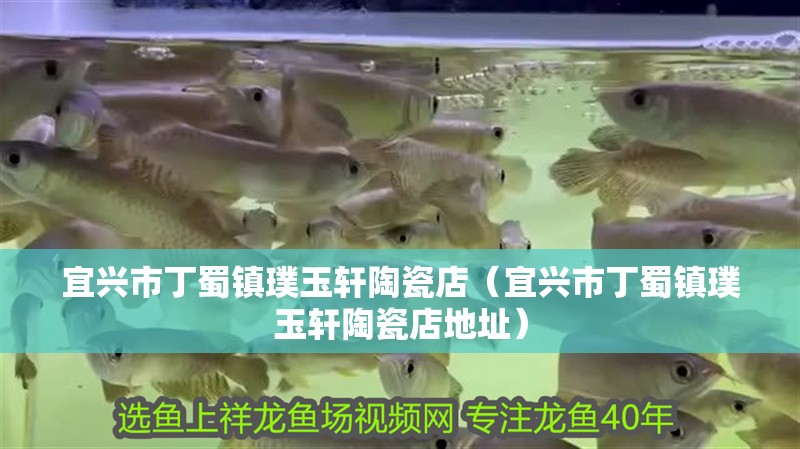 什么魚能和龍魚、虎魚混養(yǎng)(龍魚能和虎魚混養(yǎng)嗎) 宜興市丁蜀鎮(zhèn)璞玉軒陶瓷店(宜興市丁蜀鎮(zhèn)璞玉軒陶瓷店地址) 全國(guó)水族館企業(yè)名錄 宜興市丁蜀鎮(zhèn)璞玉軒陶瓷店(宜興市丁蜀鎮(zhèn)璞玉軒陶瓷店地址) 宜興市丁蜀鎮(zhèn)璞玉軒陶瓷店(宜興市丁蜀鎮(zhèn)璞玉軒陶瓷店地址) 全國(guó)水族館企業(yè)名錄