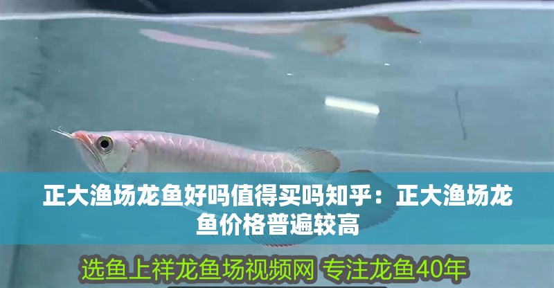正大漁場龍魚好嗎值得買嗎知乎：正大漁場龍魚價格普遍較高