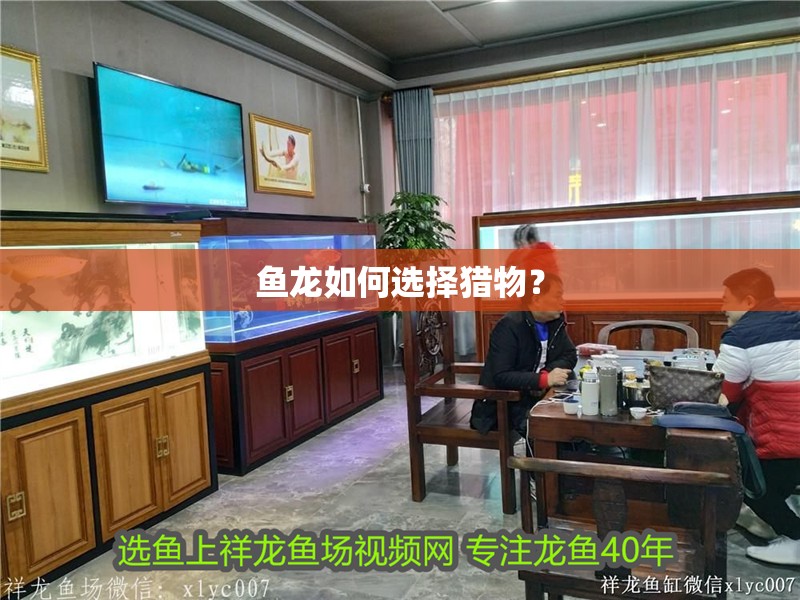 魚龍如何選擇獵物？