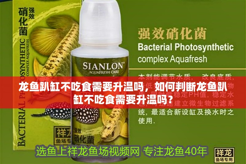 龍魚趴缸不吃食需要升溫嗎，如何判斷龍魚趴缸不吃食需要升溫嗎？