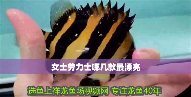 女士勞力士哪幾款最漂亮