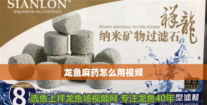 龍魚麻藥怎么用視頻