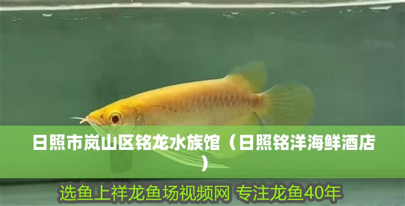 日照市嵐山區銘龍水族館（日照銘洋海鮮酒店）