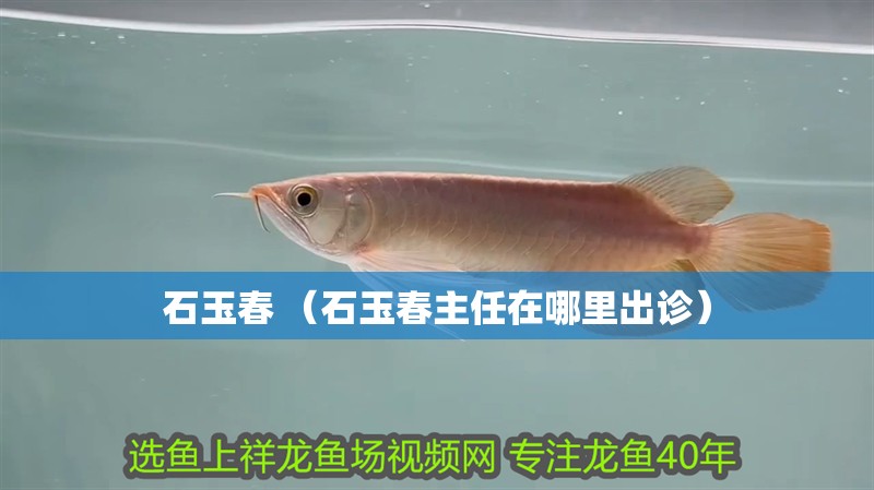 鸚鵡魚和銀龍魚混養(yǎng)怎樣喂食 石玉春 (石玉春主任在哪里出診) 全國水族館企業(yè)名錄 石玉春 (石玉春主任在哪里出診) 石玉春 (石玉春主任在哪里出診) 全國水族館企業(yè)名錄