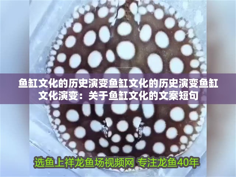 魚缸文化的歷史演變魚缸文化的歷史演變魚缸文化演變：關于魚缸文化的文案短句 魚缸文化的歷史演變魚缸文化的歷史演變魚缸文化演變：關于魚缸文化的文案短句 魚缸百科