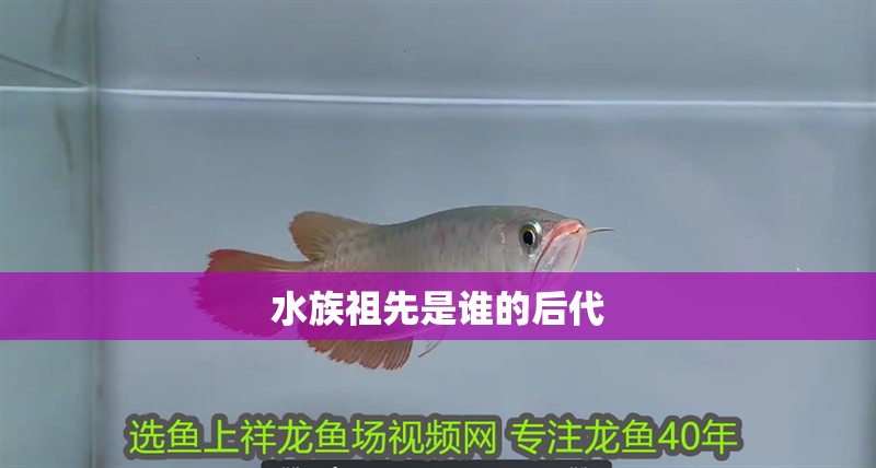 水族祖先是誰的后代