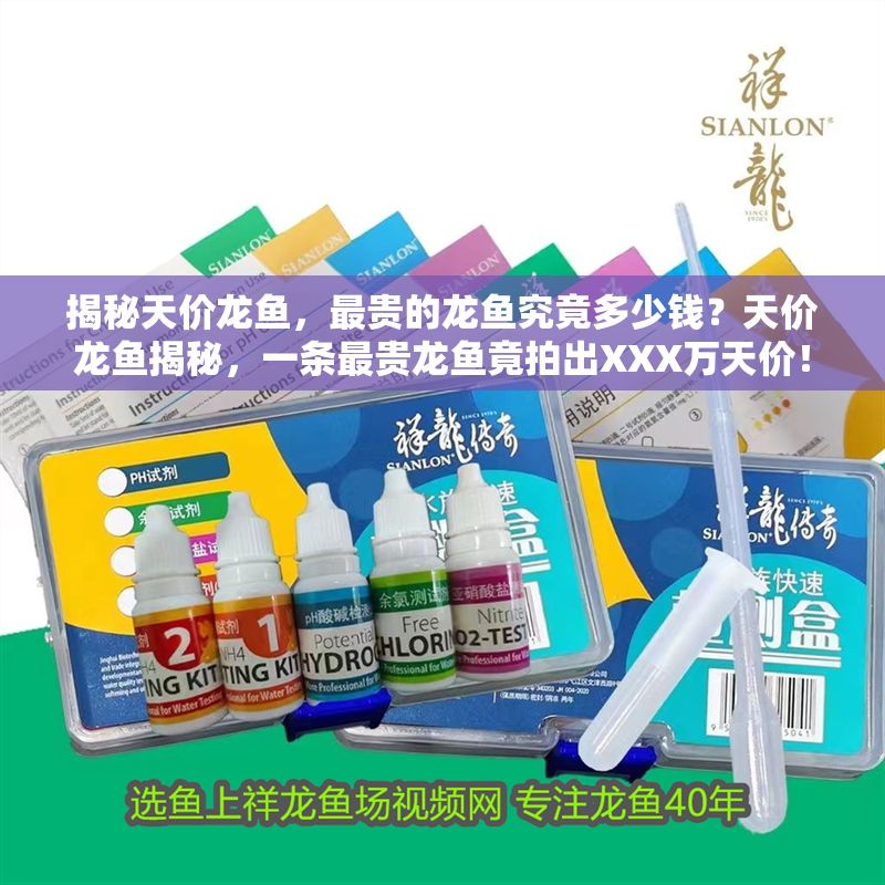 揭秘天價龍魚，最貴的龍魚究竟多少錢？天價龍魚揭秘，一條最貴龍魚竟拍出XXX萬天價！