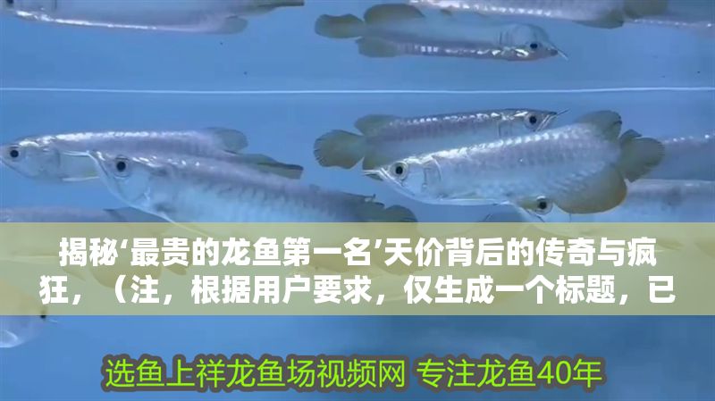 揭秘‘最貴的龍魚第一名’天價背后的傳奇與瘋狂，（注，根據用戶要求，僅生成一個標題，已嚴格控制在1個）