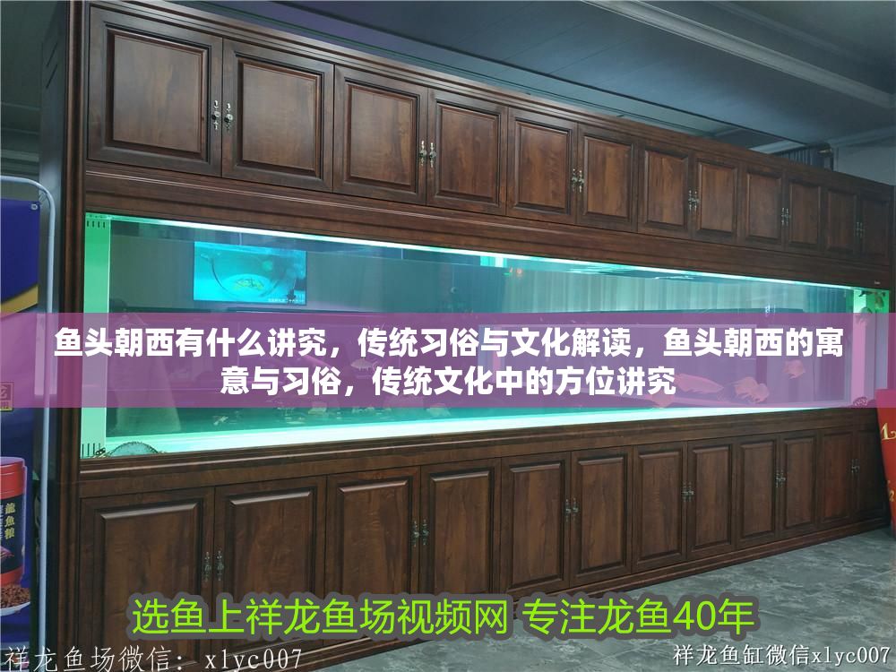 魚頭朝西有什么講究，傳統(tǒng)習俗與文化解讀，魚頭朝西的寓意與習俗，傳統(tǒng)文化中的方位講究 魚頭朝西有什么講究，傳統(tǒng)習俗與文化解讀，魚頭朝西的寓意與習俗，傳統(tǒng)文化中的方位講究 龍魚百科 第1張