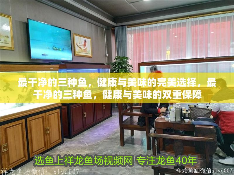最干凈的三種魚，健康與美味的完美選擇，最干凈的三種魚，健康與美味的雙重保障