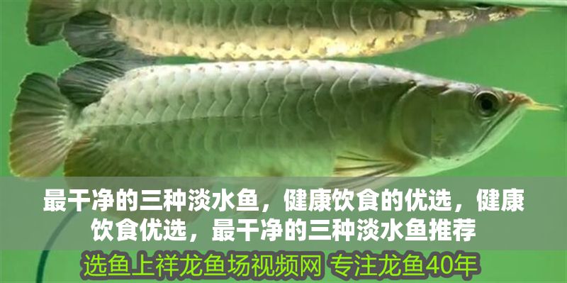 最干凈的三種淡水魚，健康飲食的優選，健康飲食優選，最干凈的三種淡水魚推薦