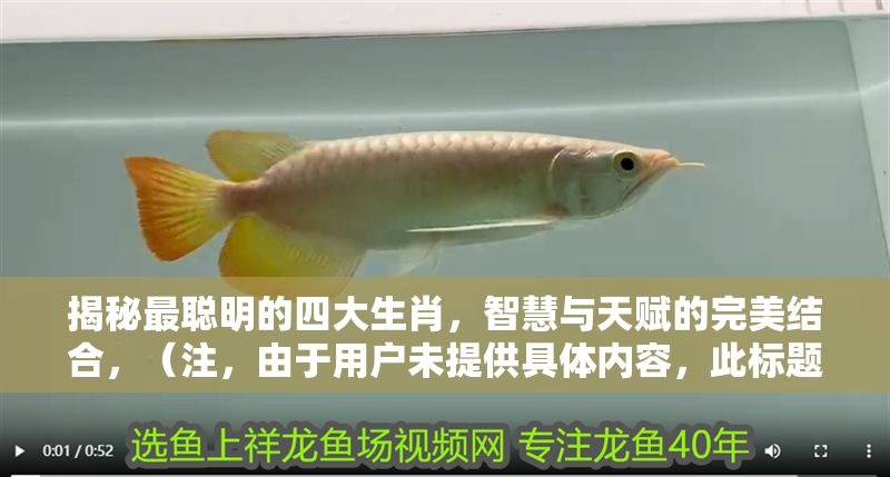 揭秘最聰明的四大生肖，智慧與天賦的完美結(jié)合，（注，由于用戶未提供具體內(nèi)容，此標(biāo)題是基于常見(jiàn)生肖智慧話題的通用示例。若用戶能提供相關(guān)內(nèi)容，可生成更精準(zhǔn)匹配的標(biāo)題。），四大高智商生肖揭秘，誰(shuí)是天生的智慧擔(dān)當(dāng)？，（請(qǐng)補(bǔ)充您的具體內(nèi)容需求，我將為您定制專屬標(biāo)題。）
