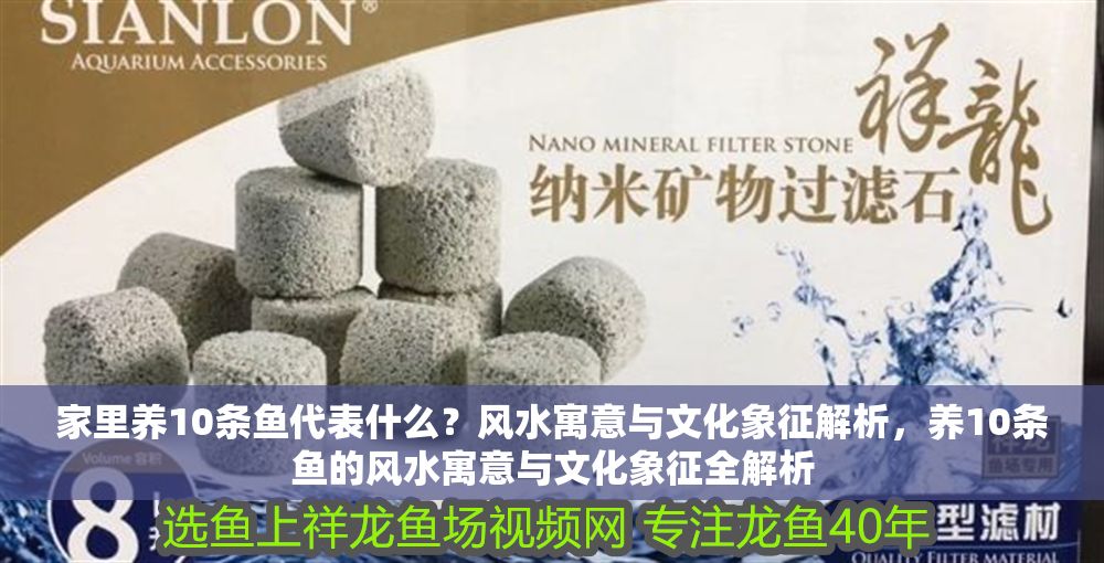 家里養10條魚代表什么？風水寓意與文化象征解析，養10條魚的風水寓意與文化象征全解析