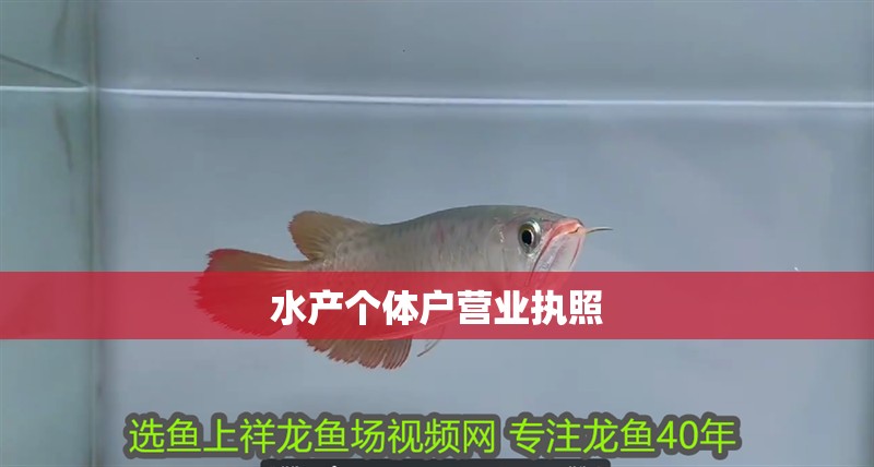 水產個體戶營業執照