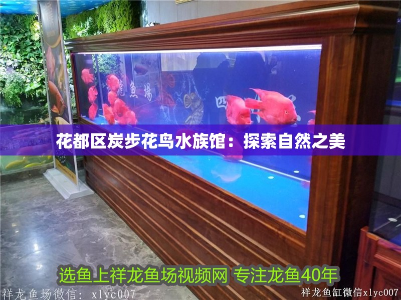 花都區炭步花鳥水族館：探索自然之美