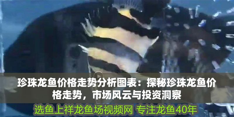 珍珠龍魚價格走勢分析圖表：探秘珍珠龍魚價格走勢，市場風云與投資洞察