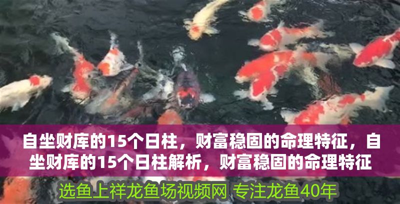 自坐財庫的15個日柱，財富穩固的命理特征，自坐財庫的15個日柱解析，財富穩固的命理特征