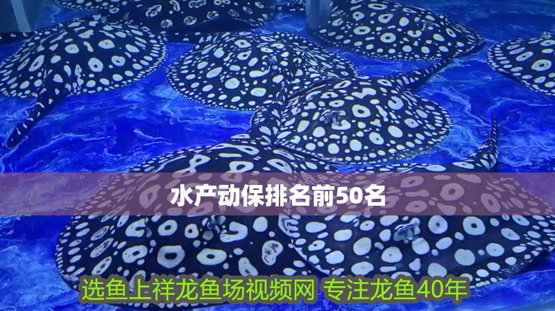 水產動保排名前50名