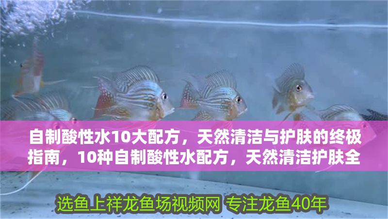 自制酸性水10大配方，天然清潔與護膚的終極指南，10種自制酸性水配方，天然清潔護膚全攻略